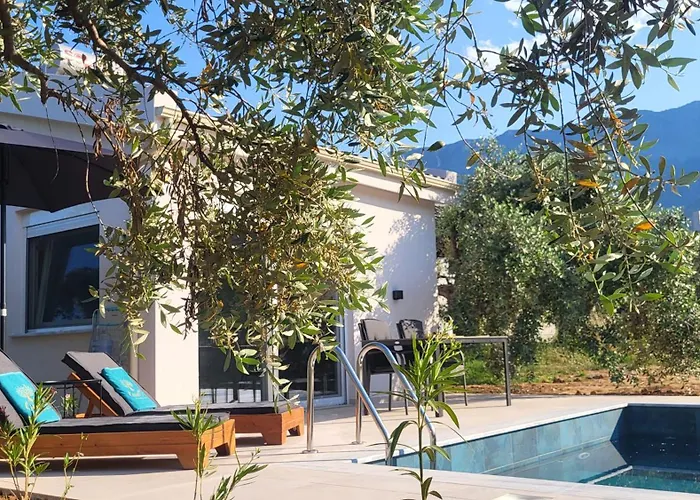 Casa O' - House With Private Pool 度假居 Potamia (Thasos)