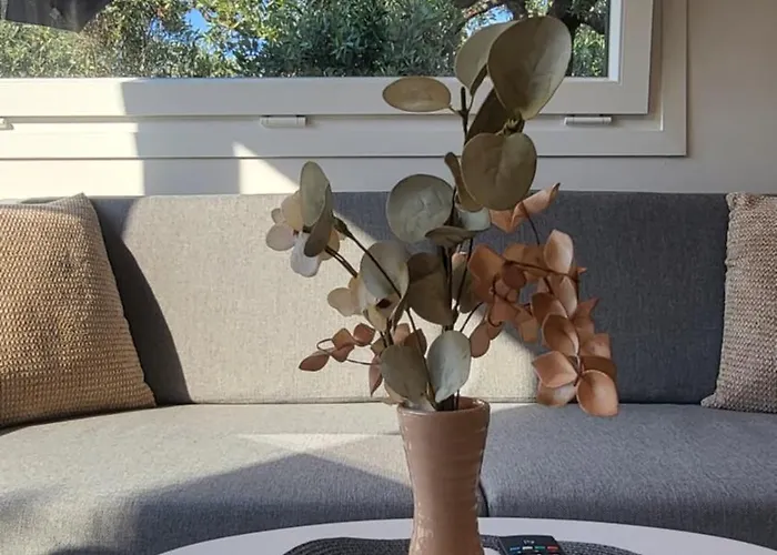 度假居 Casa O' - House With Private Pool Potamia (Thasos)